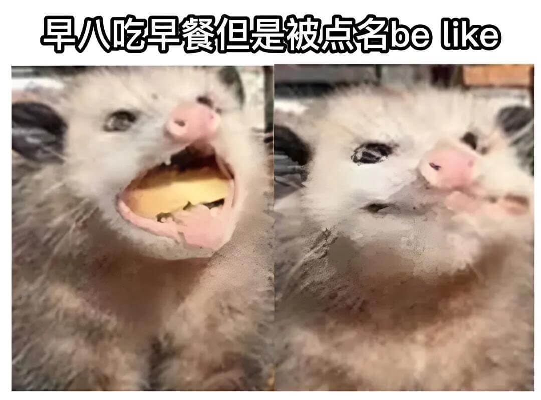 早吃早餐但是被点名belike
