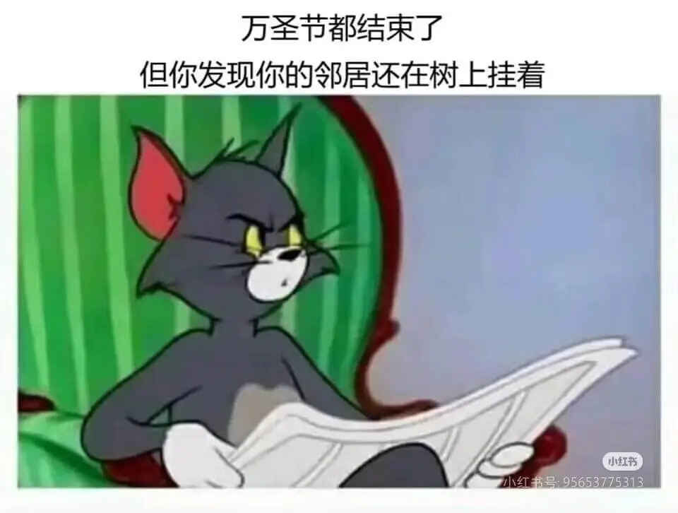 万圣节都结束了，但你发现你的邻居还在树上挂着。小红书小红书号
