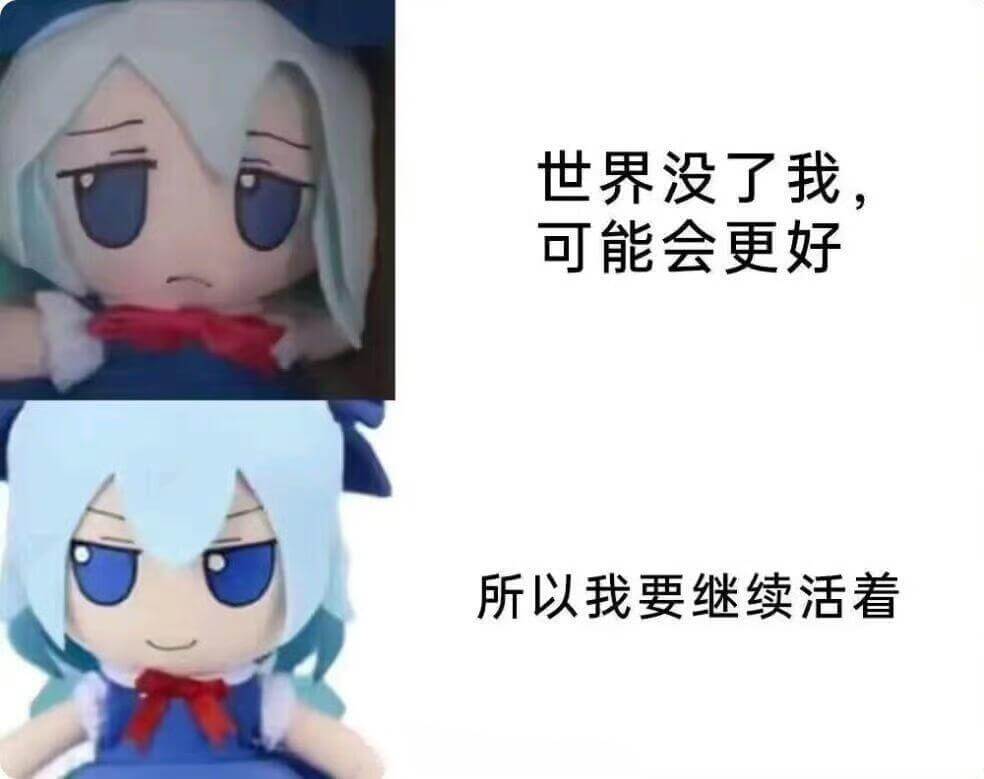 世界没了我，可能会更好，所以我要继续活着。
