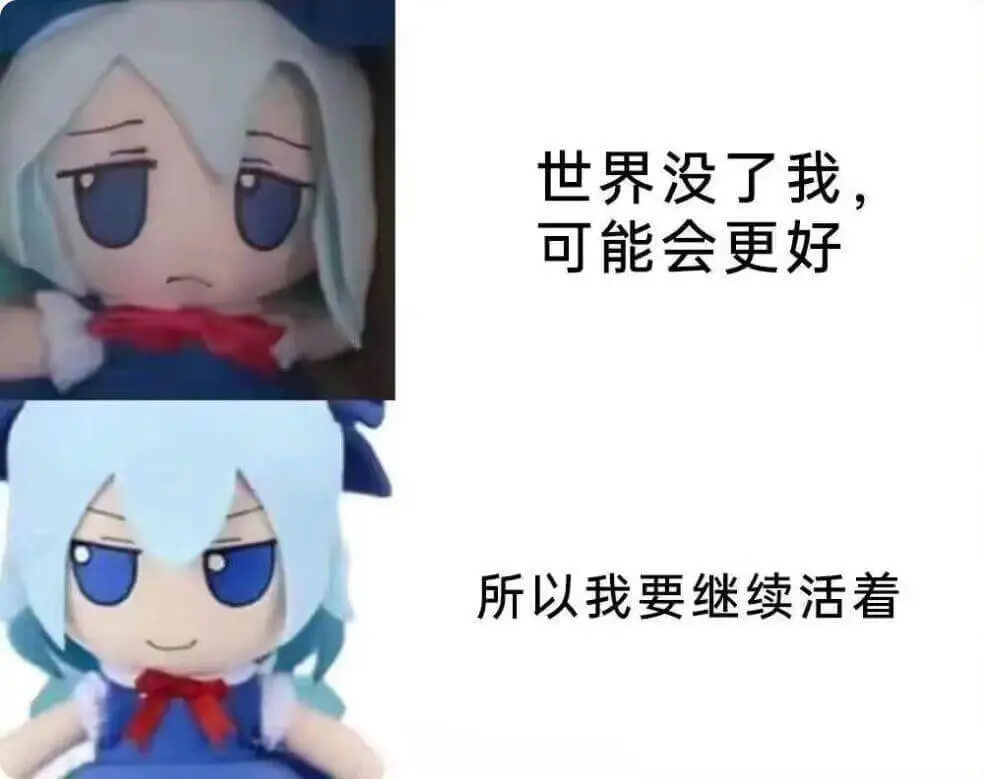 世界没了我，可能会更好，所以我要继续活着。