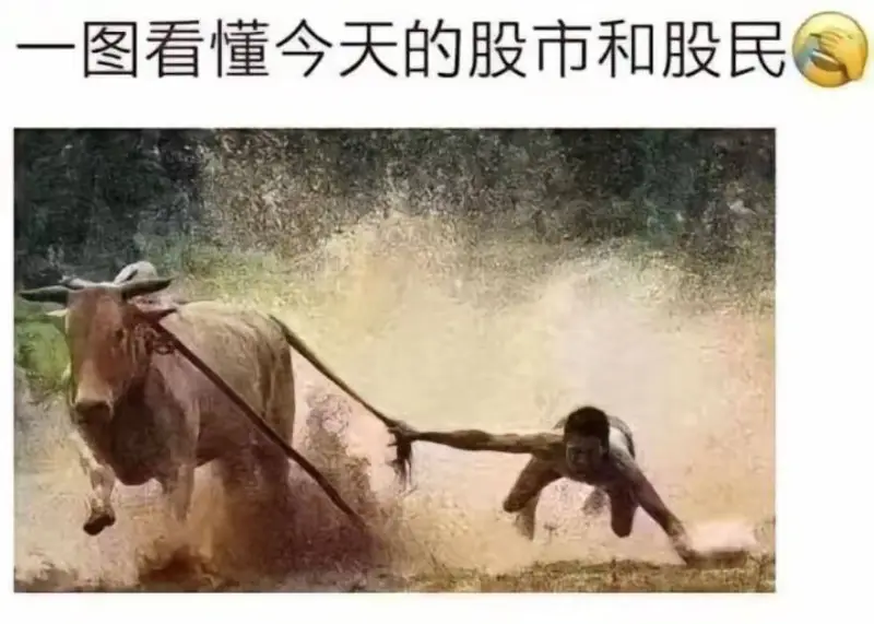一图看懂今天的股市和股民