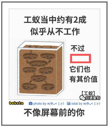 工蚁当中约有2成似乎从不工作，不过它们也有其价值。【工蚁】日