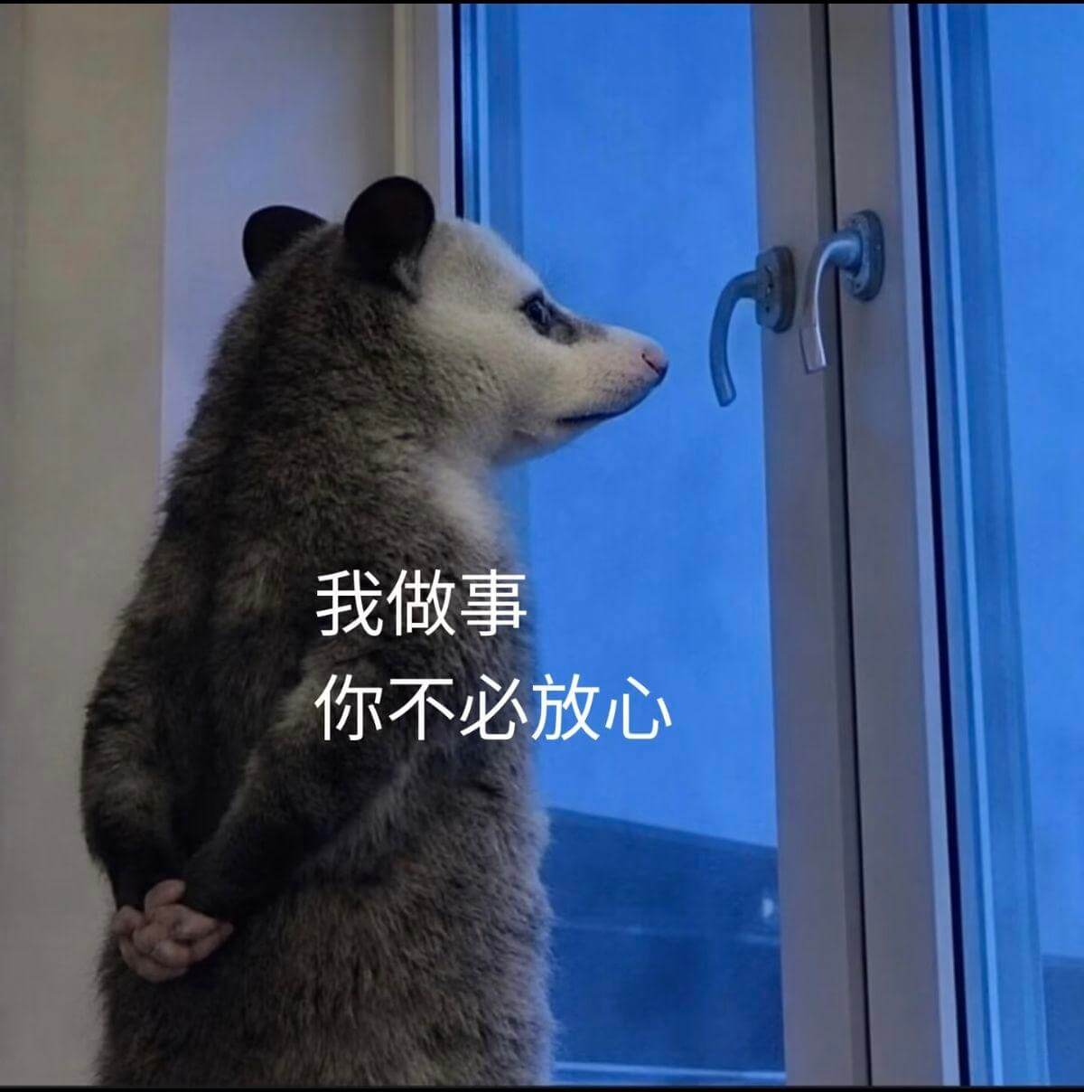 我做事，你不必放心。