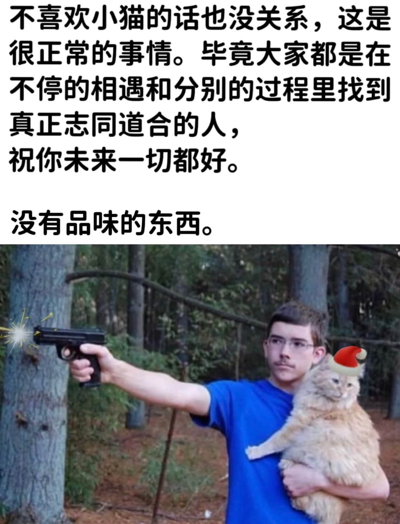 不喜欢小猫的话也没关系，这是很正常的事情。毕竟大家都是在不停