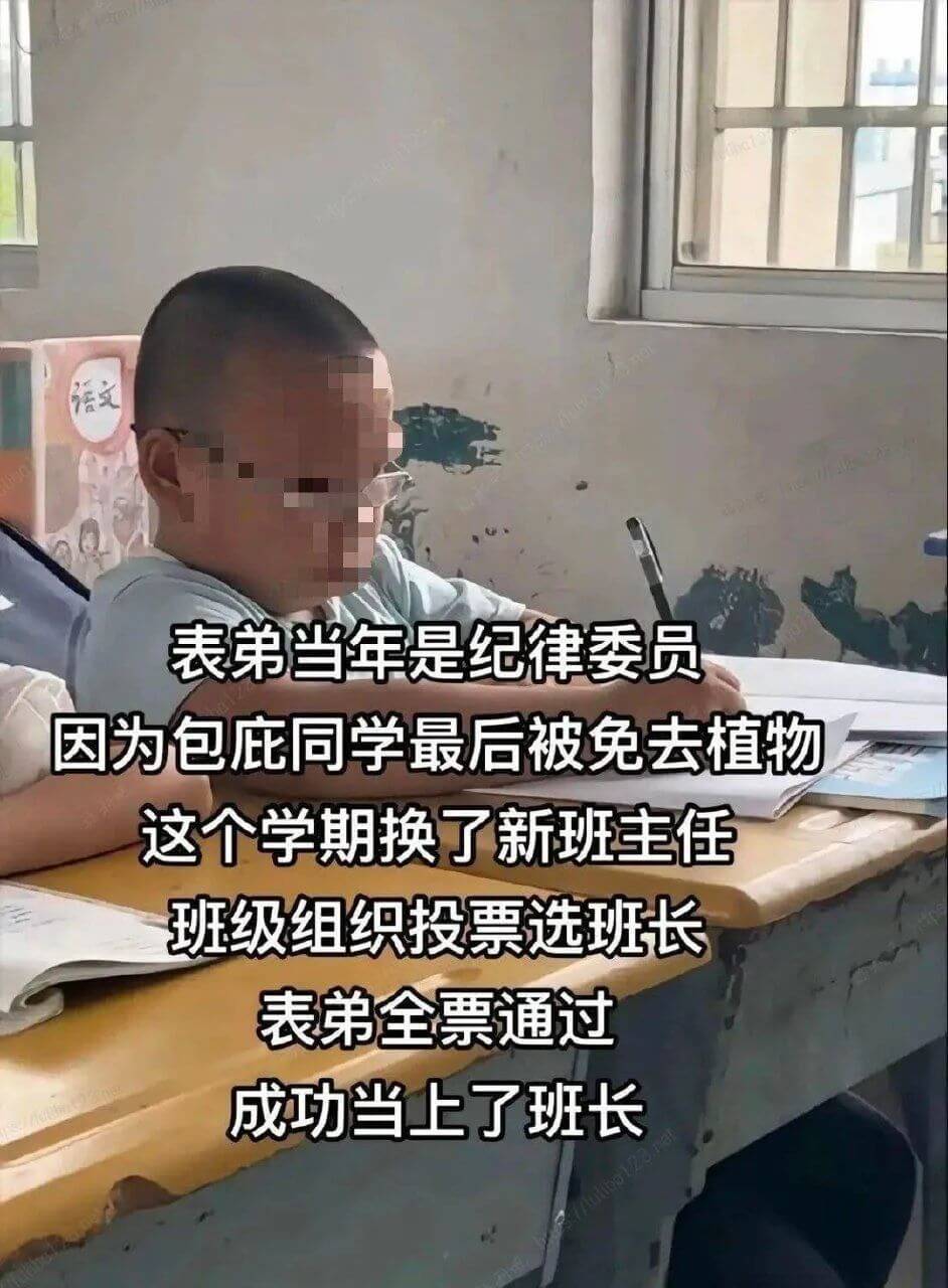表弟当年是纪律委员，因为包庇同学，最后被免去职务。这个学期换