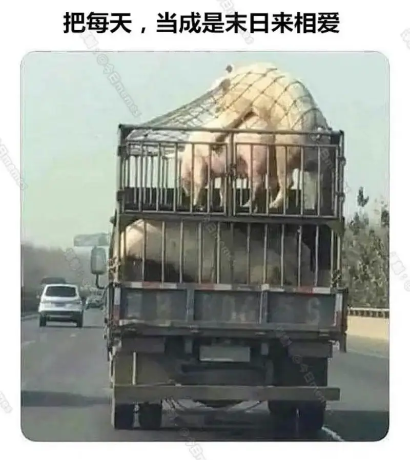 把每天，当成是末日来相爱