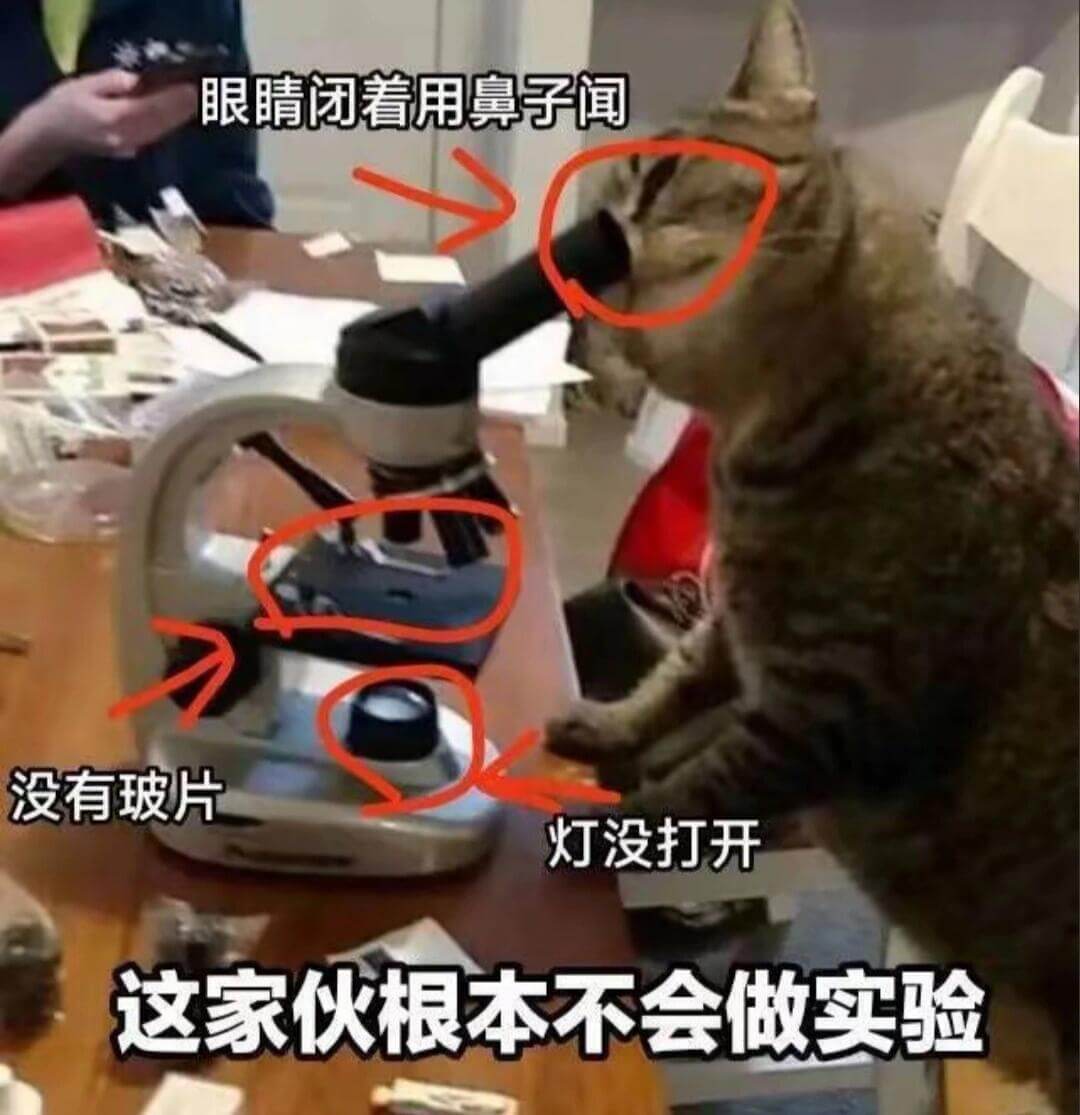 眼睛闭着用鼻子闻没有玻片灯没打开这家伙根本不会做实验