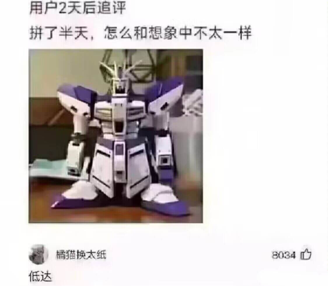 用户2天后追评拼了半天，怎么和想象中不太一样橘猫换太纸803