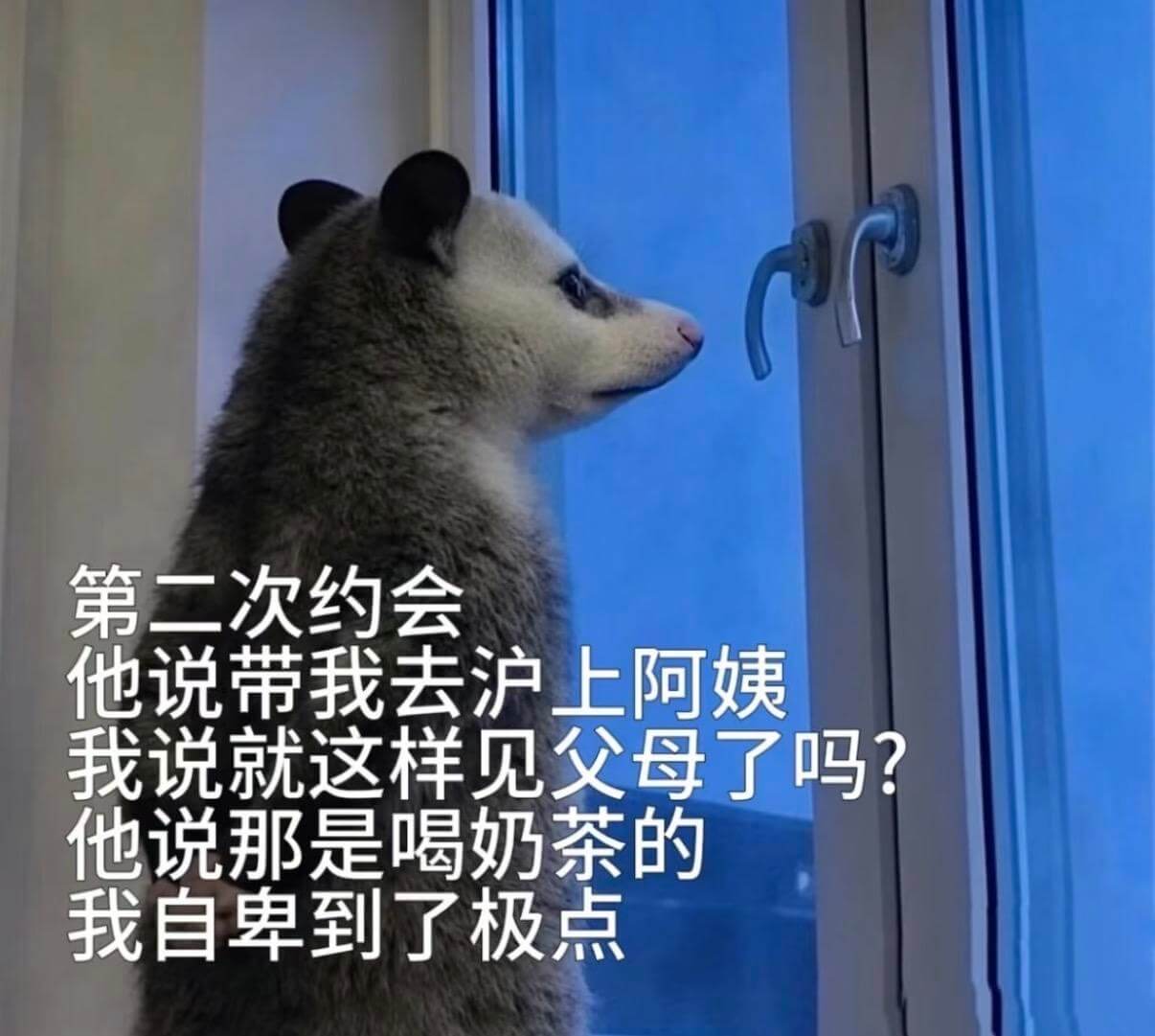 第二次约会他说带我去沪上阿姨。我说：“就这样见父母了吗？”他