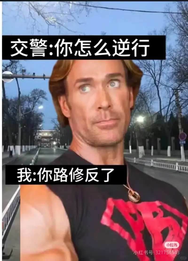 交警：你怎么逆行？我：你路修反了。小红书小红书号：32175
