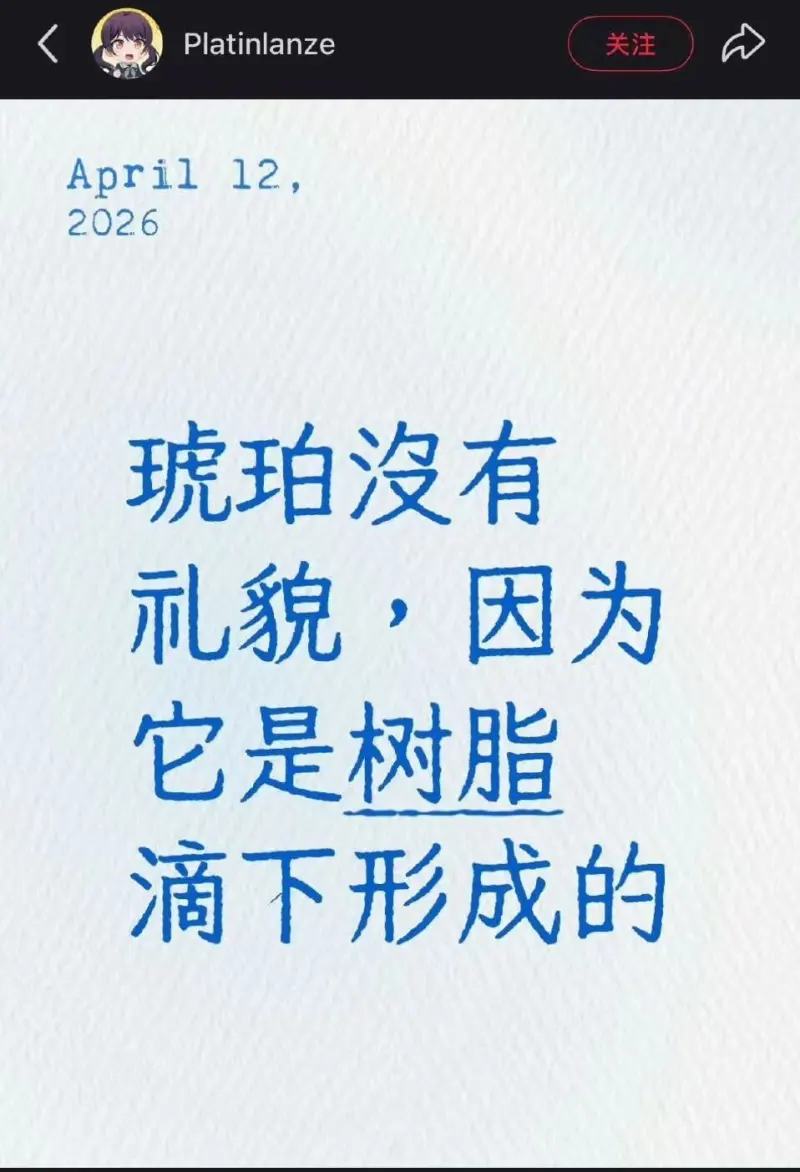 Platinlanze关注April12,2026琥珀没有礼