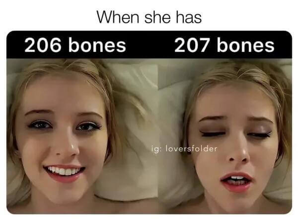 Whenshehas206bones207bonesig:l