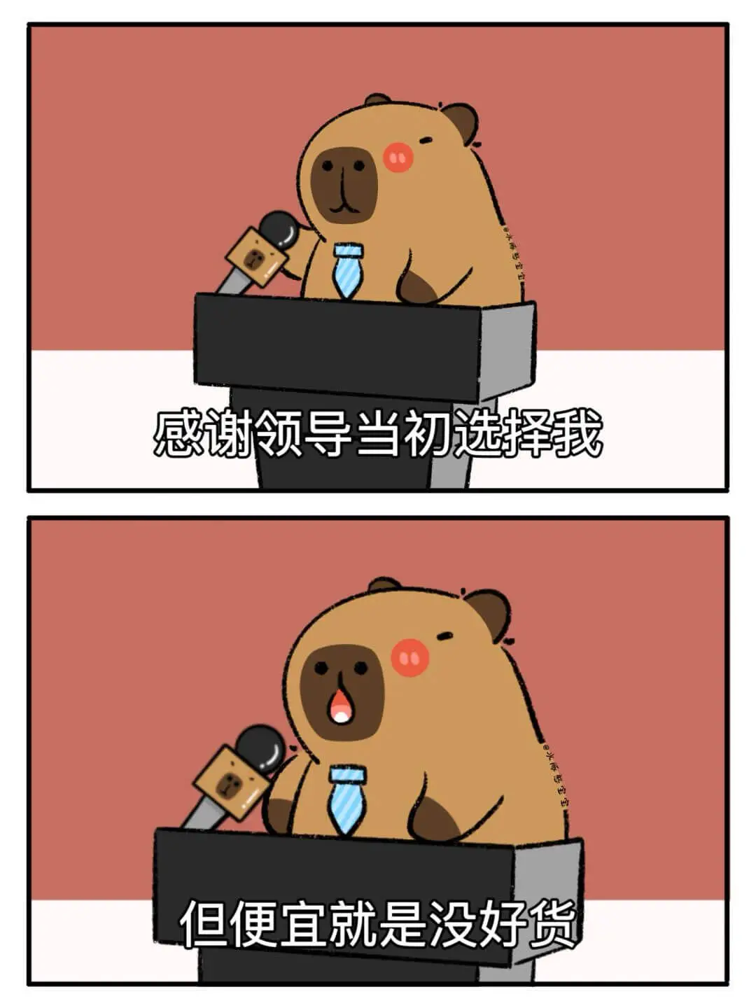 感谢领导当初选择我。但便宜没好货。