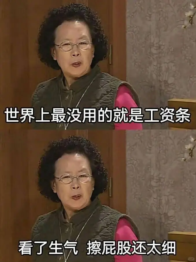 世界上最没用的就是工资条看了生气擦屁股还太细