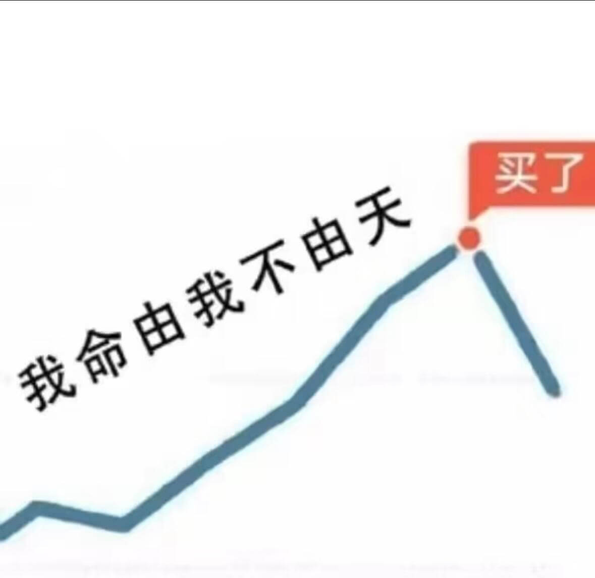 买了我命由我不由天