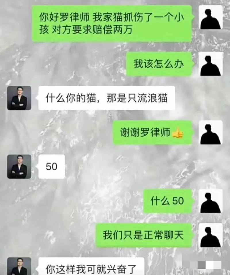 你好罗律师，我家猫抓伤了一个小孩，对方要求赔偿两万。我该怎么