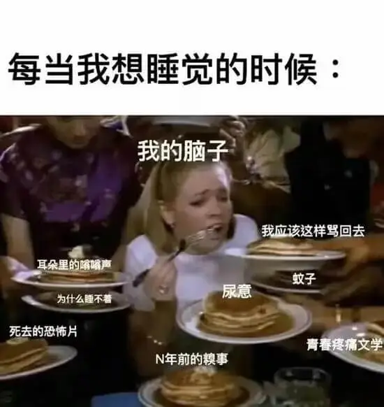 每当我想睡觉的时候：我的脑子：耳朵里的嗡嗡声，蚊子，尿意，为