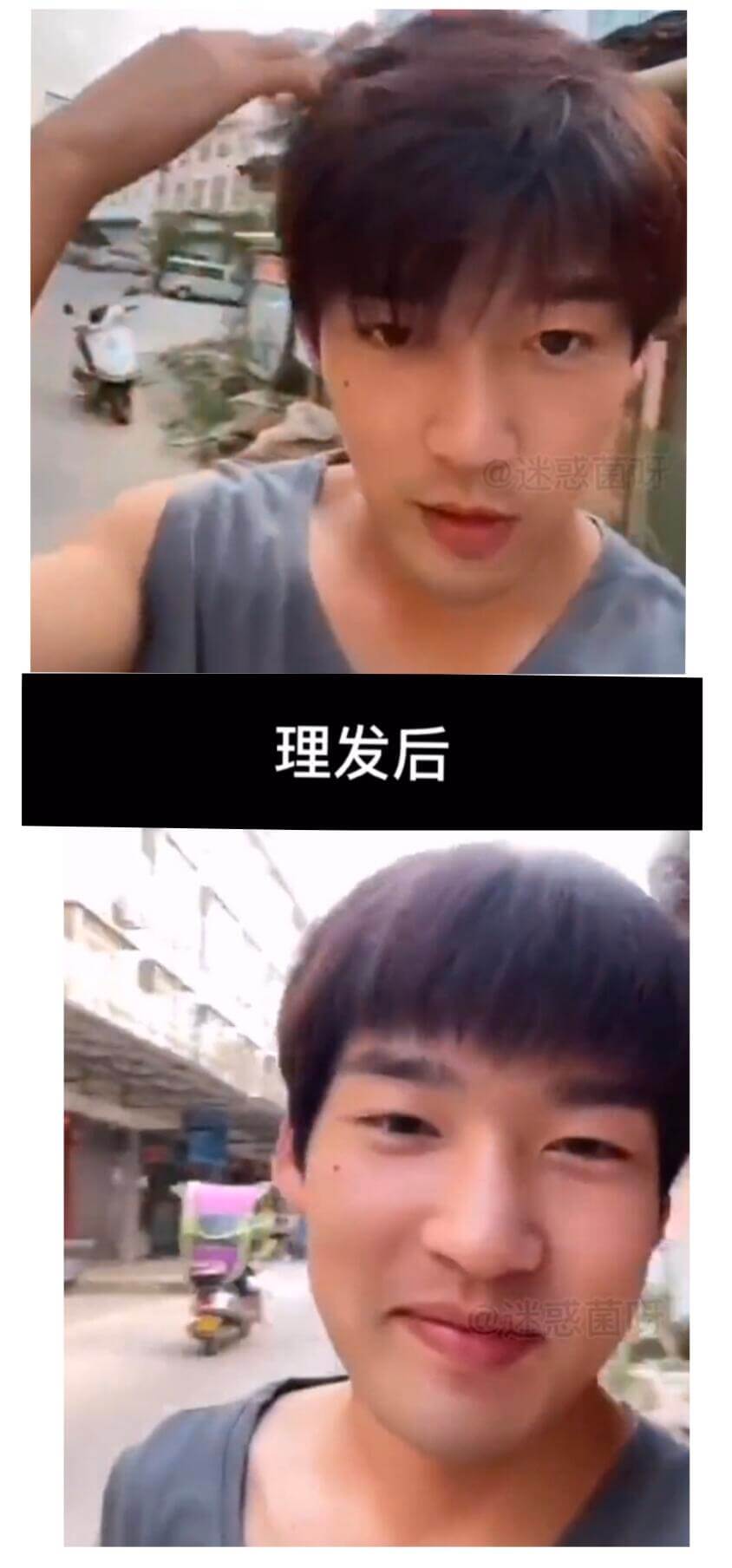 @迷惑園理发后迷感菌