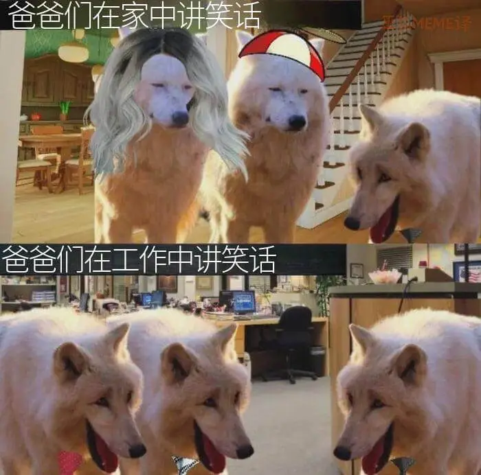 爸爸们在家中讲笑话M译：爸爸们在工作中讲笑话