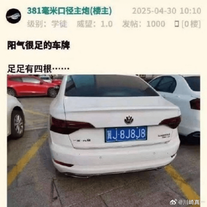 381毫米口径主炮（楼主）2025-04-3010:10级别