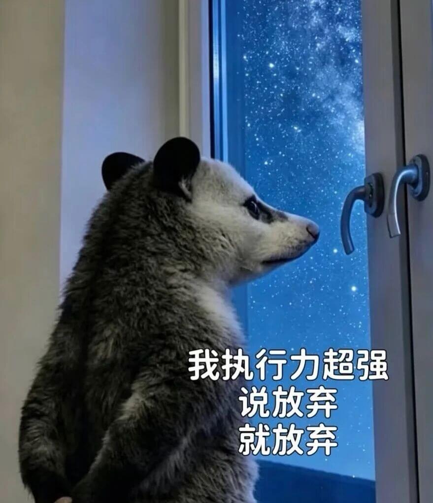 我执行力超强，说放弃就放弃。