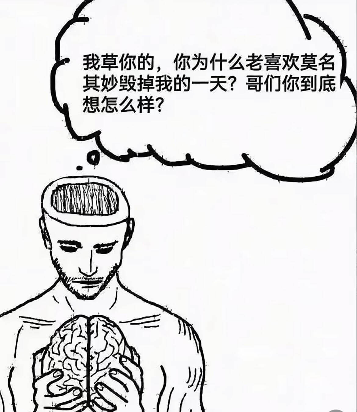 我草你的，你为什么老喜欢莫名其妙毁掉我的一天？哥们你到底想怎