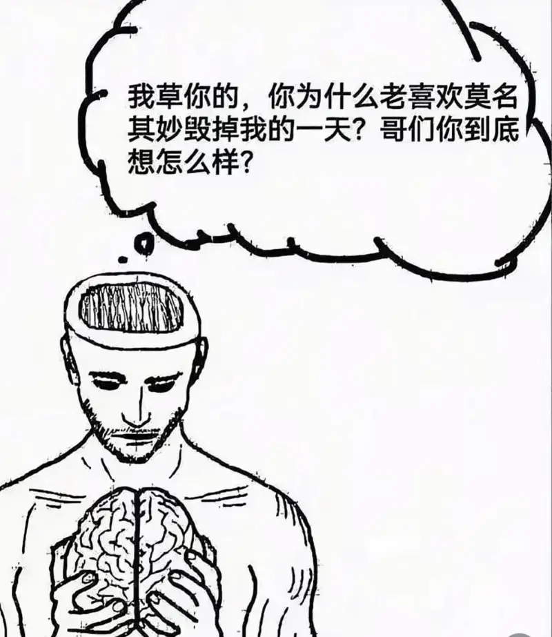 我草你的，你为什么老喜欢莫名其妙毁掉我的一天？哥们你到底想怎