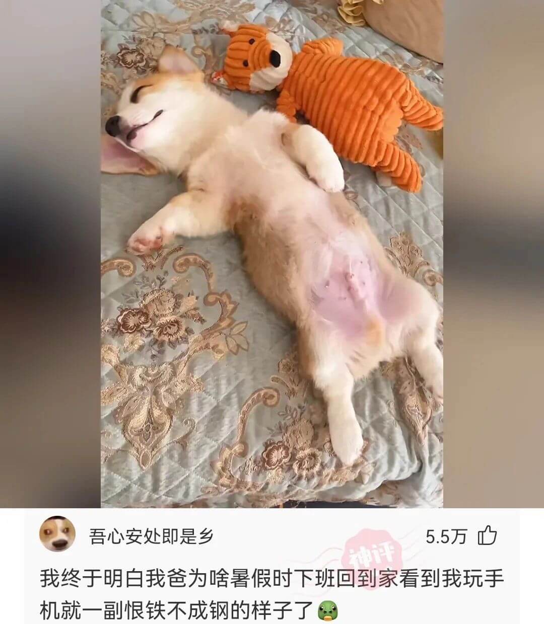 吾心安处即是乡5.5万我终于明白我爸为啥暑假时下班回到家看到