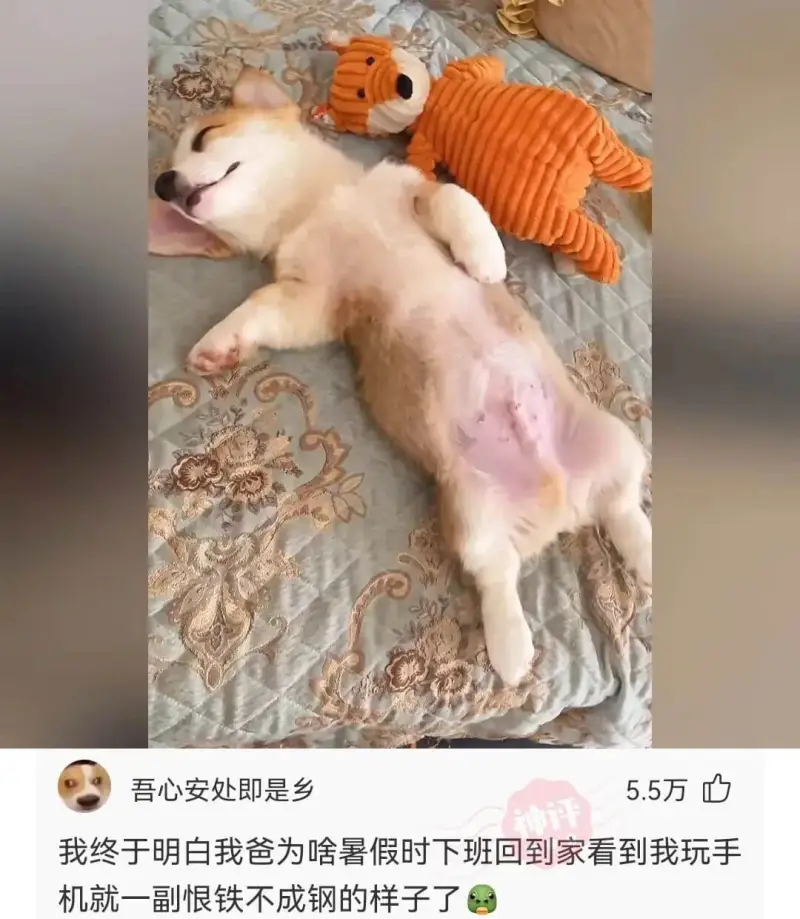 吾心安处即是乡5.5万我终于明白我爸为啥暑假时下班回到家看到