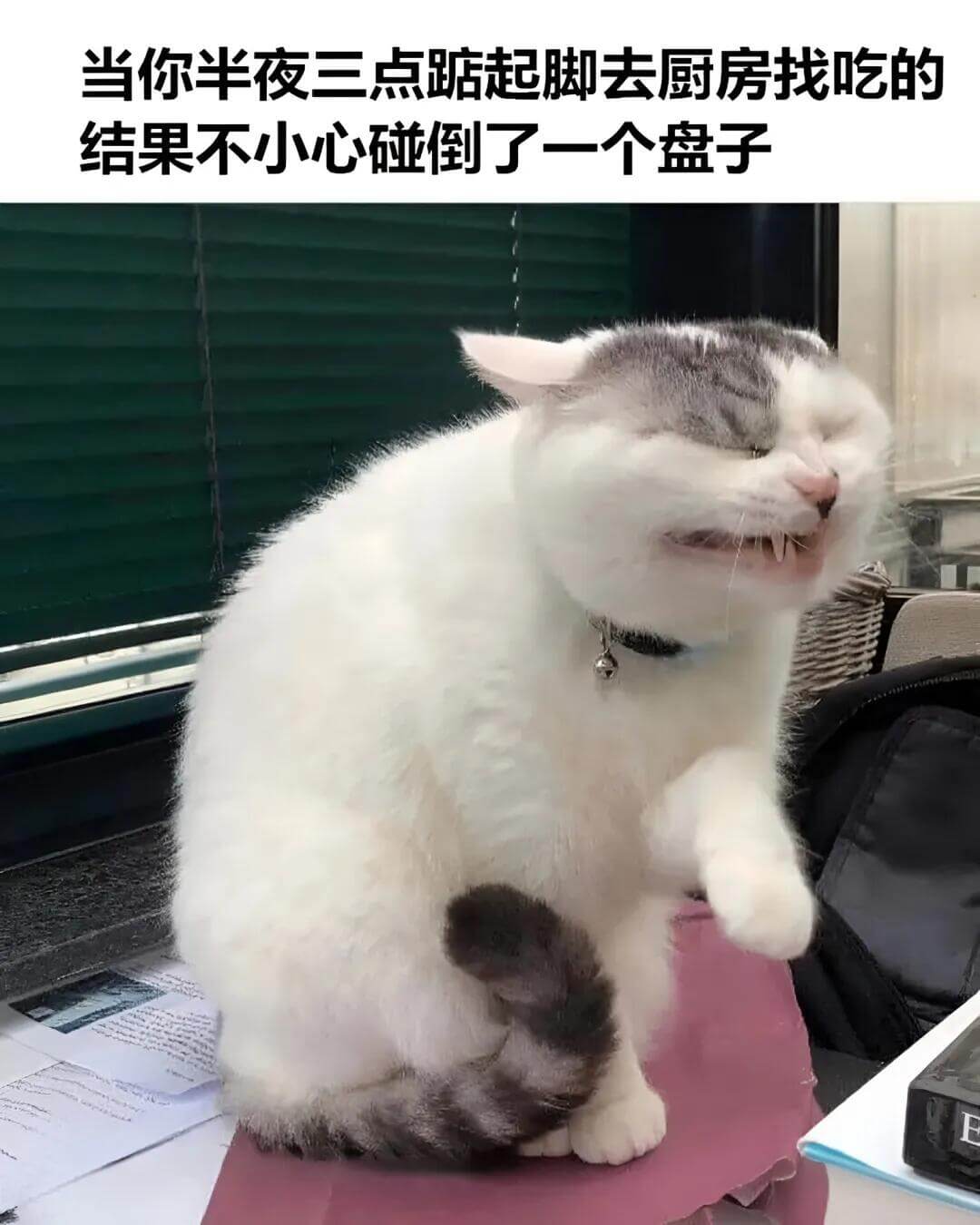 当你半夜三点起床去厨房找吃的，结果不小心碰倒了一个盘子。