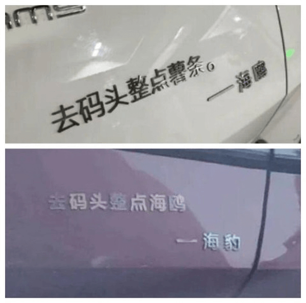 一海腐去码头整点薯条去码头拎点海鲜一海豹