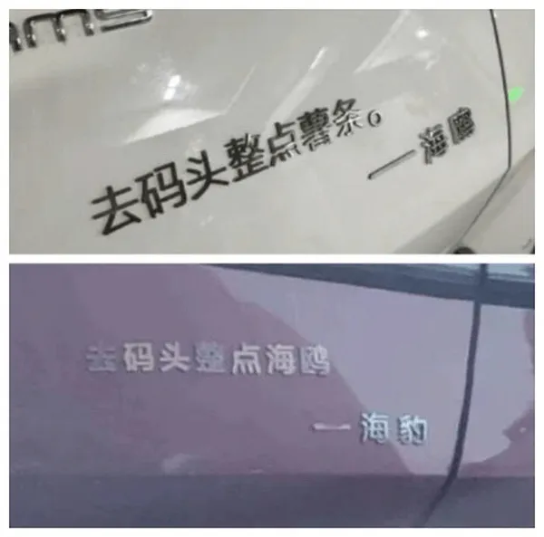 一海腐去码头整点薯条去码头拎点海鲜一海豹