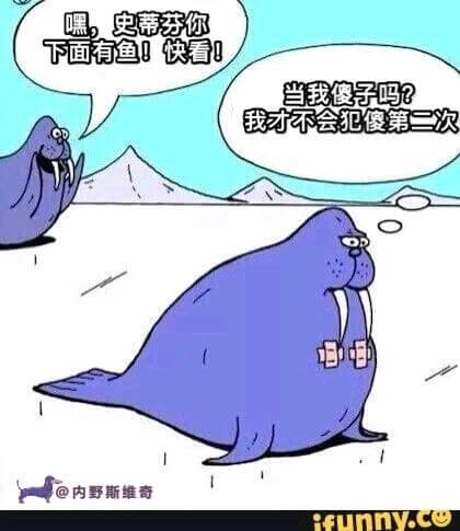 嘿，史蒂芬你下面有鱼！快看！当我傻子吗？我才不会犯傻第二次@