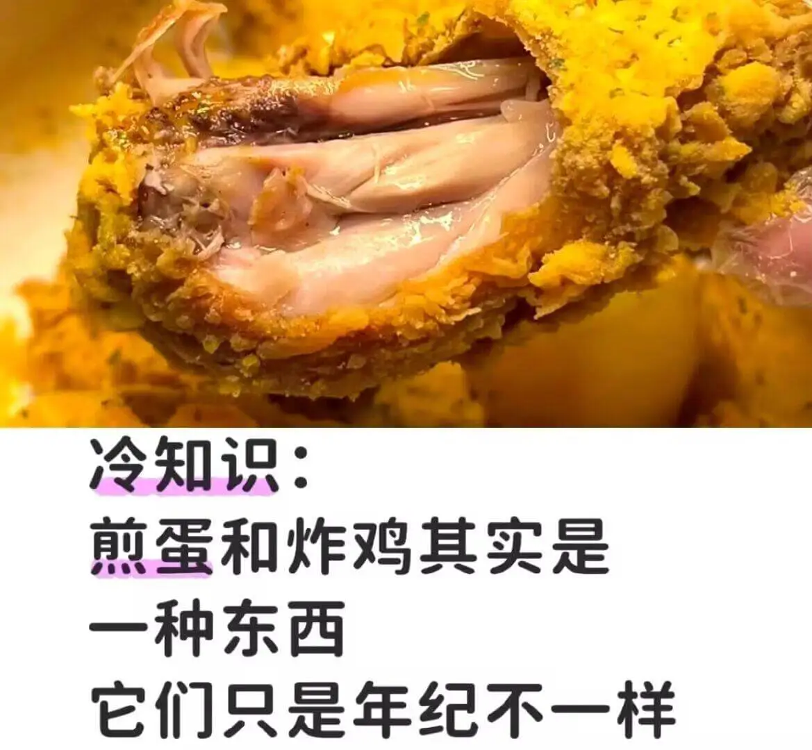 冷知识：煎蛋和炸鸡其实是一种东西它们只是年纪不一样