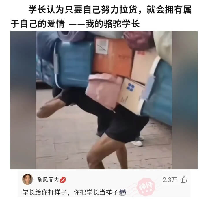 学长认为只要自己努力拉货，就会拥有属于自己的爱情--我的骆驼