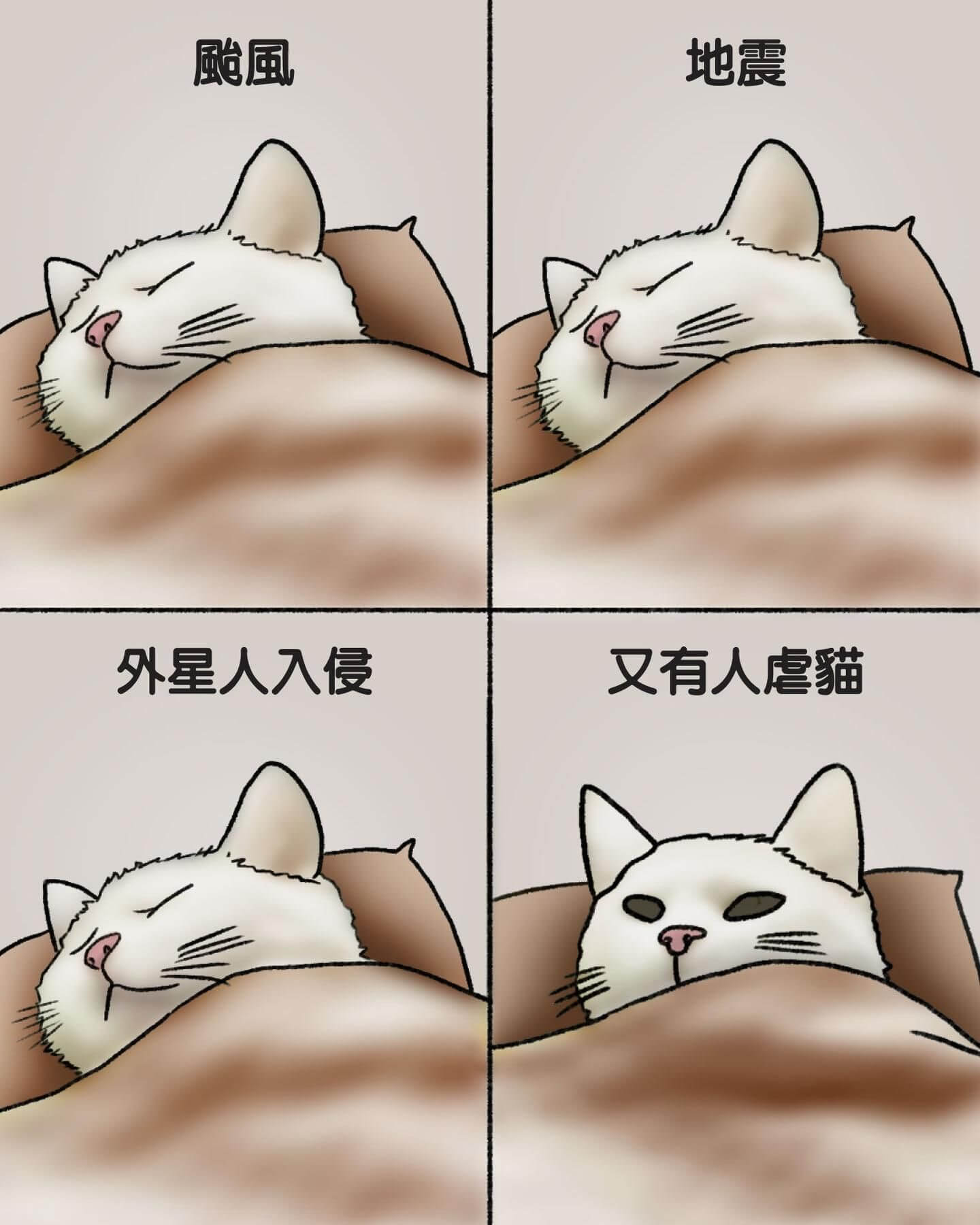 風、地震、外星人入侵，又有人虐貓