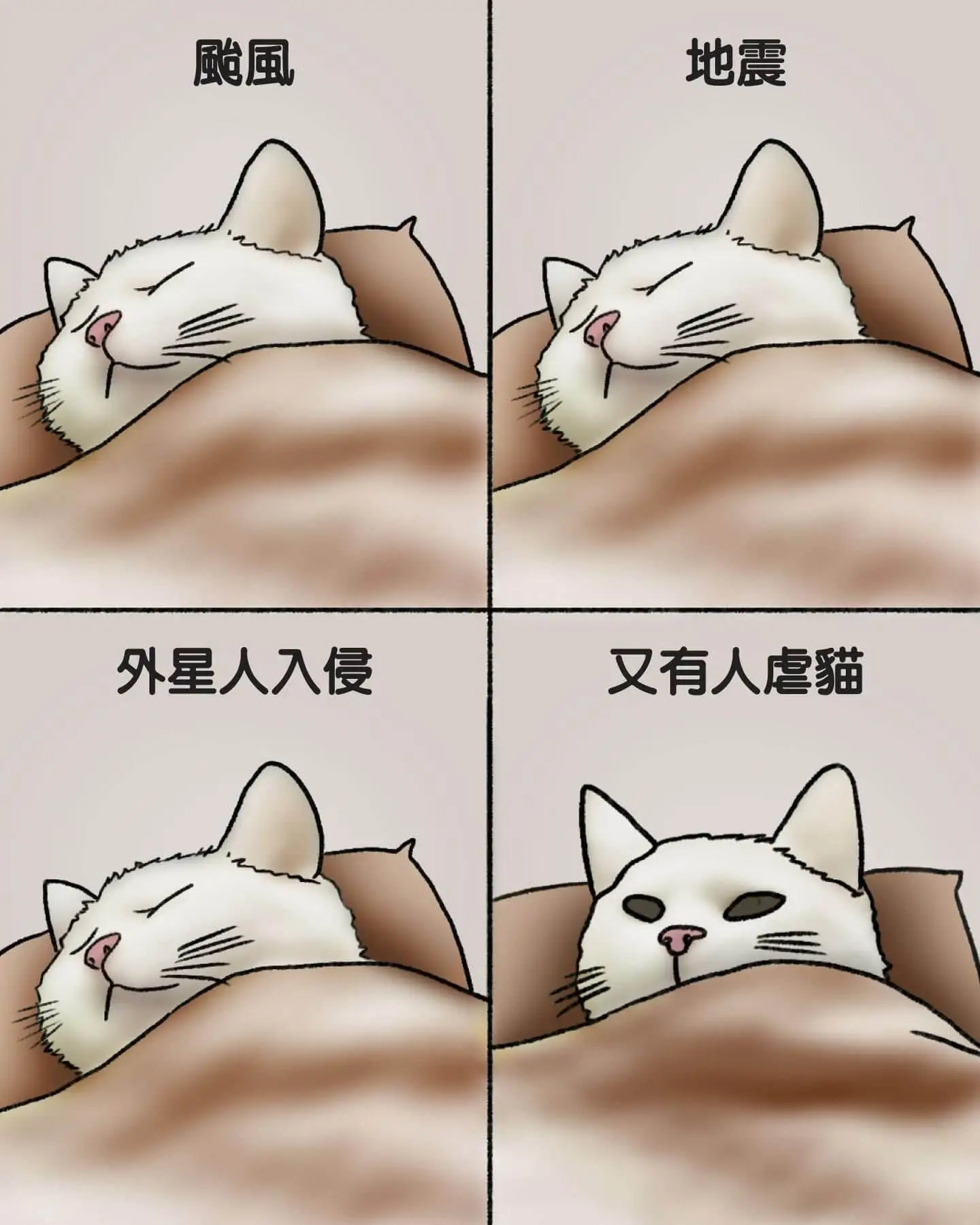 風、地震、外星人入侵，又有人虐貓