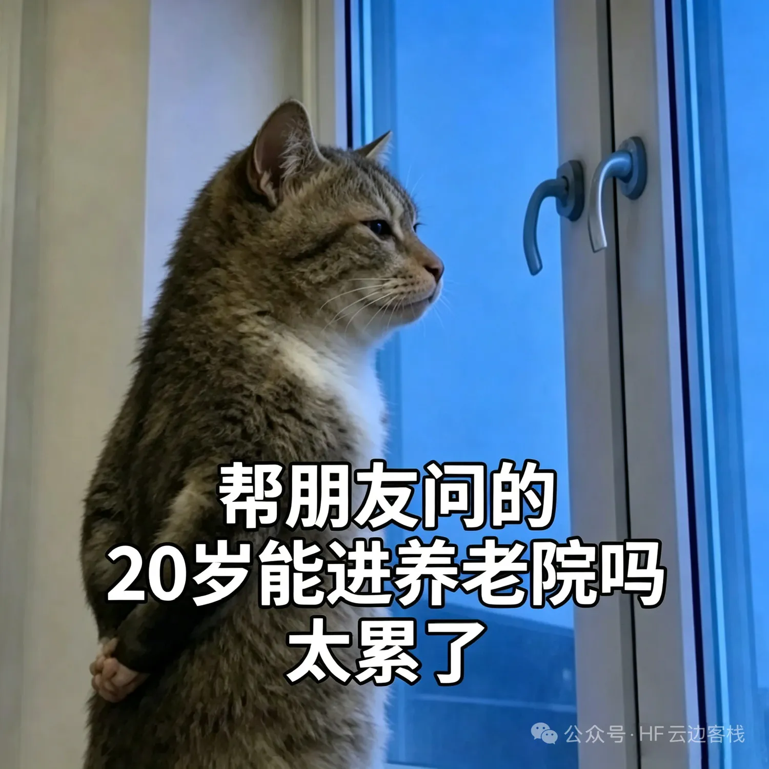 梗图