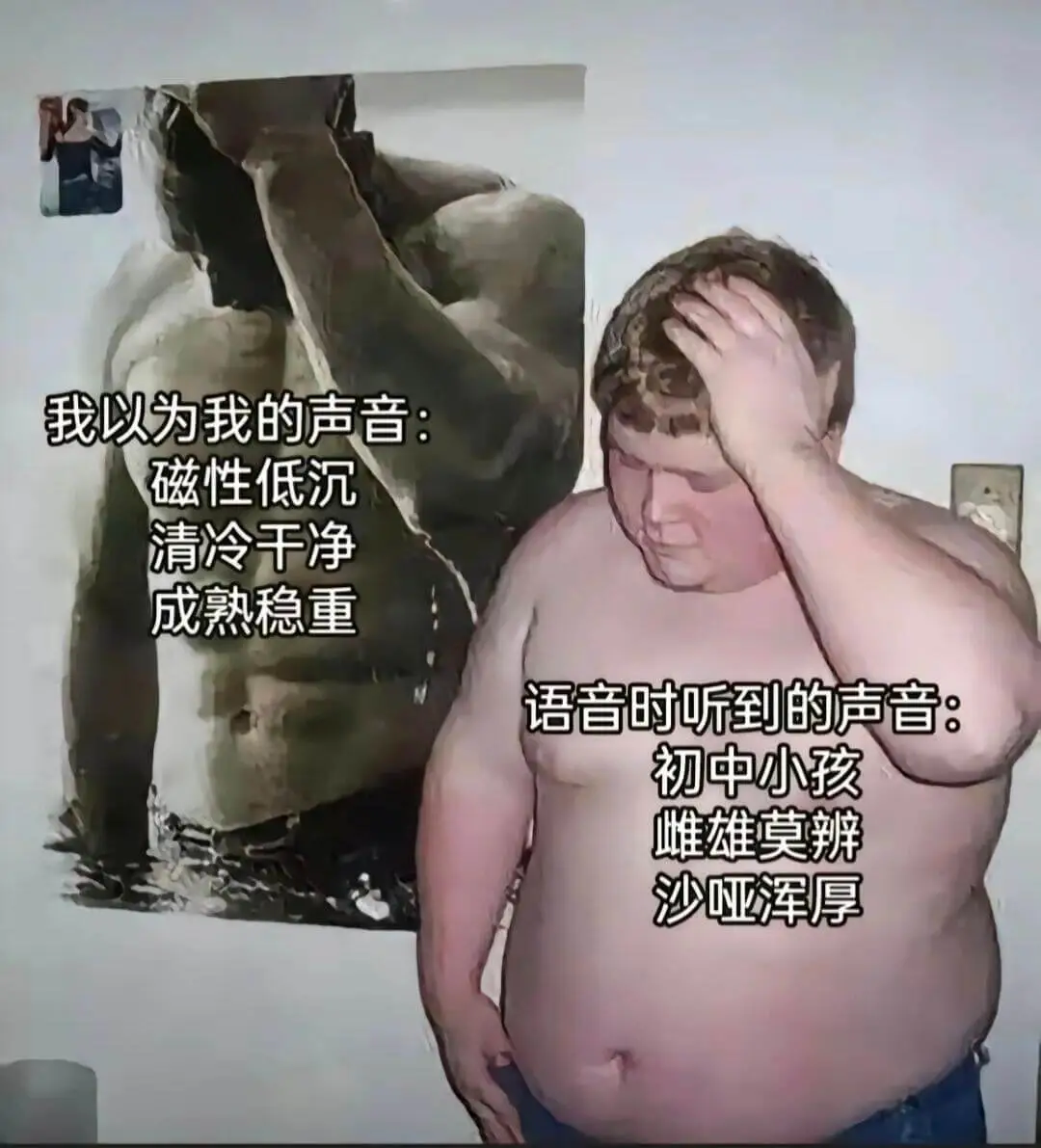 我以为我的声音：磁性低沉、清冷干净、成熟稳重。语音时听到的声