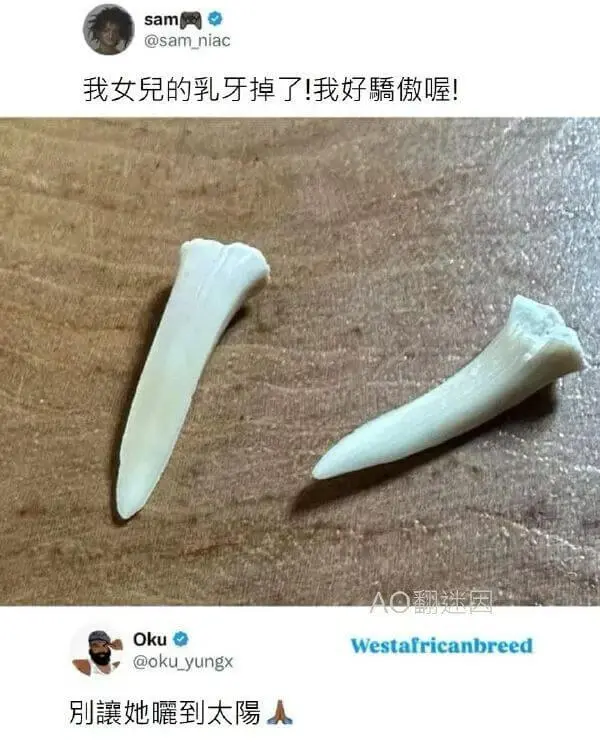 sam网办@sam.niac我女儿的乳牙掉了！我好自豪喔！O