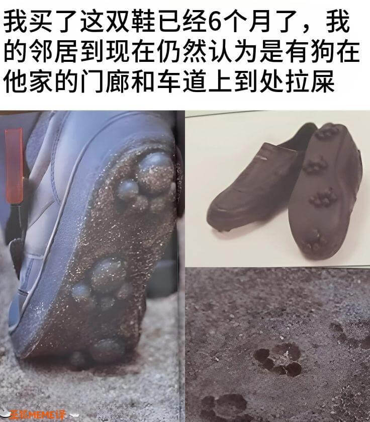 我买了这双鞋已经6个月了，我的邻居到现在仍然认为是有狗在他也