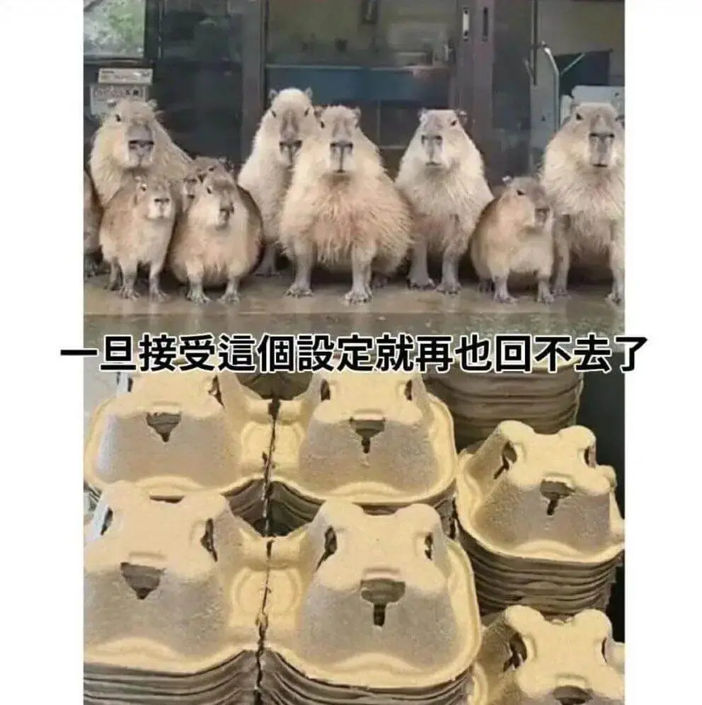 一旦接受這個設定就再也回不去了