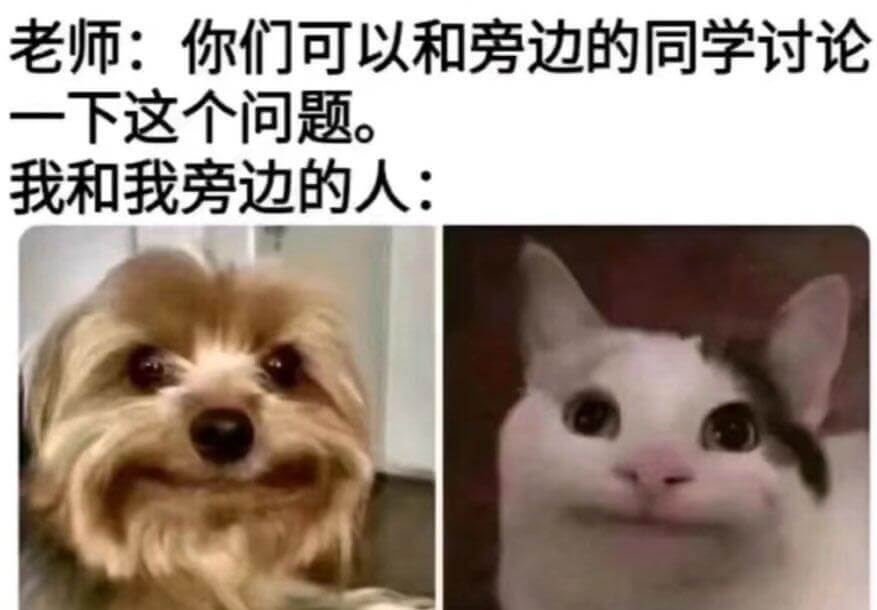 老师：你们可以和旁边的同学讨论一下这个问题。我和我旁边的人：