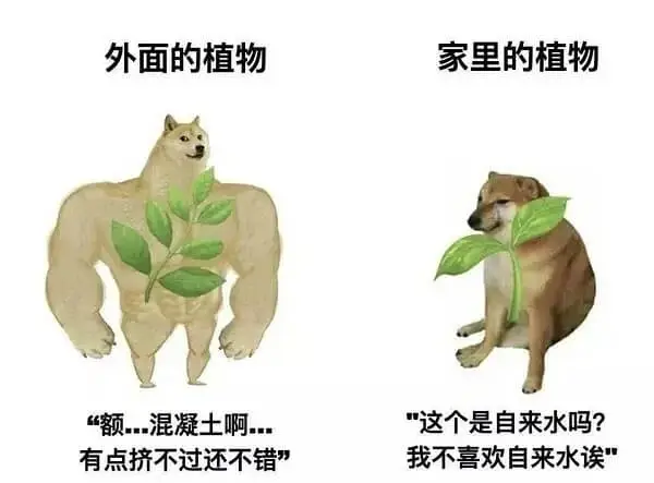 “额...混凝土啊...有点挤不过还不错”“这个是自来水吗?