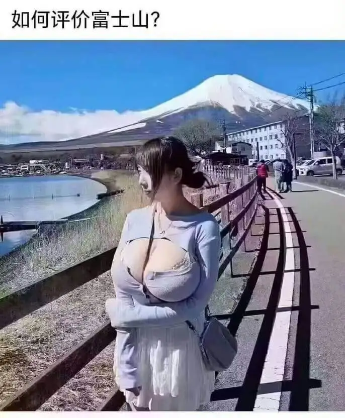 如何评价富士山？