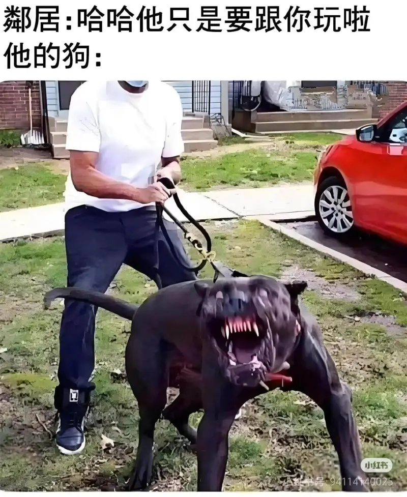 鄰居:哈哈，他只是要跟你玩啦。他的狗:小红书