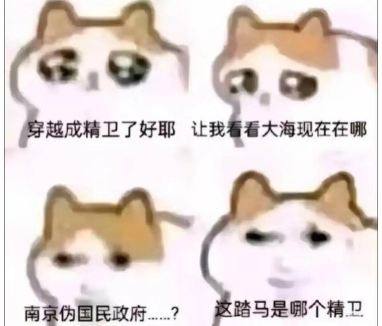 穿越成精卫了好耶让我看看大海现在在哪这踏马是哪个精卫?南京伪