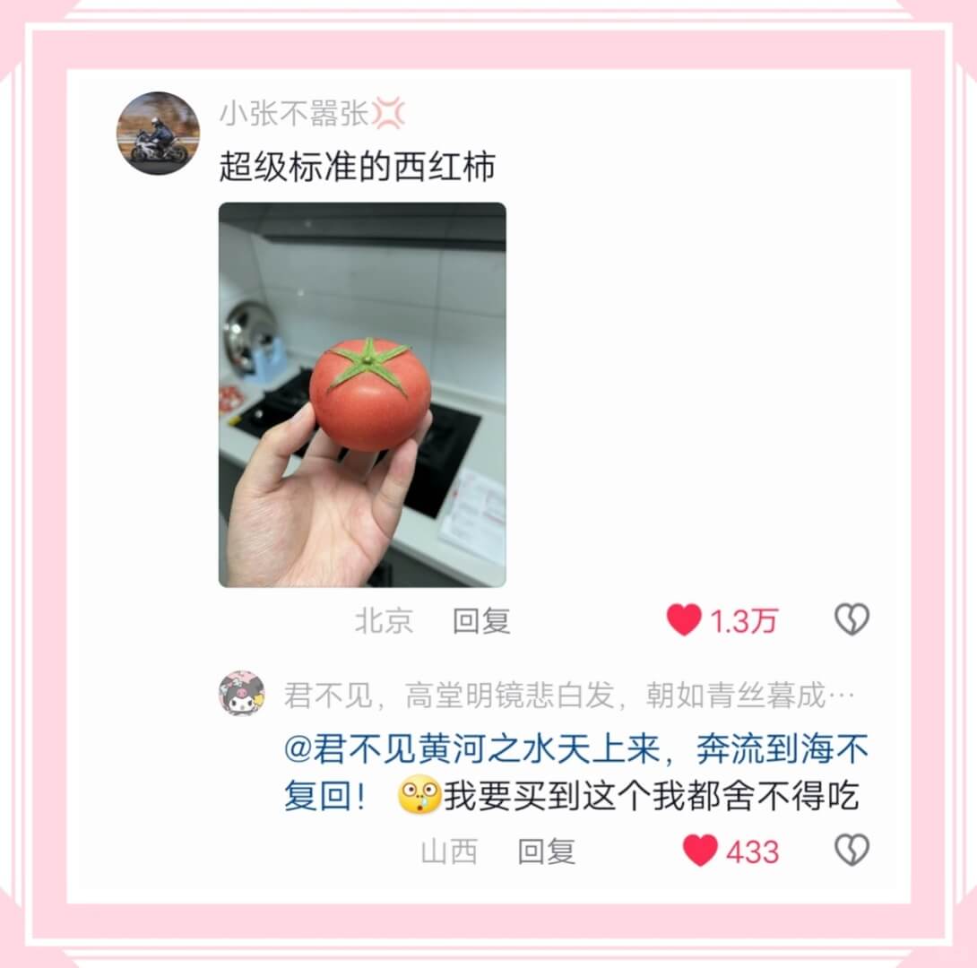 小张不嚣张超级标准的西红柿北京回复1.3万君不见，高堂明镜悲