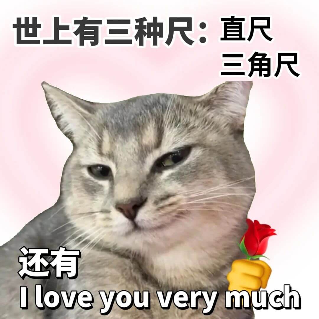 世上有三种尺：直尺、三角尺，还有……Iloveyouvery