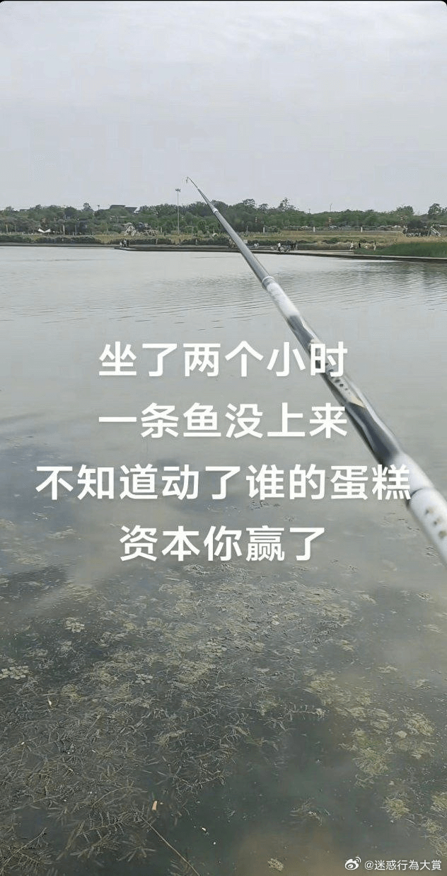 坐了两个小时，一条鱼没上来，不知道动了谁的蛋糕，资本你赢了。